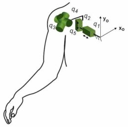 Modeling of the shoulder complex as three revolute and two prismatic DOFs.