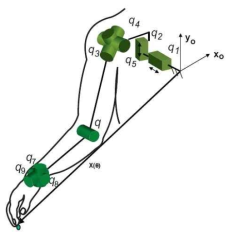 Modeling of the upper extremity as a 9-DOF kinematic chain.