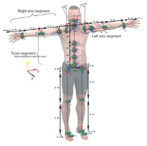 Santos—-a 215-DOF human model.