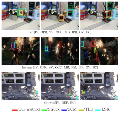 Snapshots of illumination variation, background clutter.