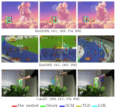 Snapshots of in-plane/out-plane rotation.