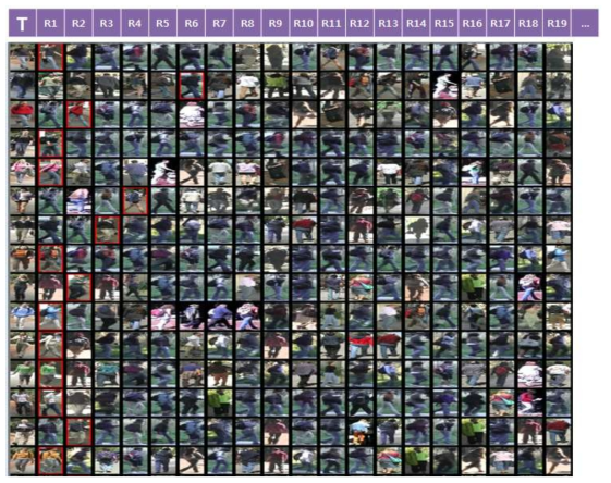 Snapshots of human re-identification.