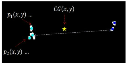 human region detection and detected blob-grouping process.