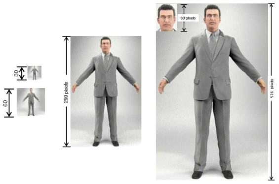 Quantitative measurement for human recognition by 3D computer model.