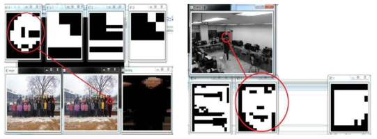 Selected candidates for remote face detection.