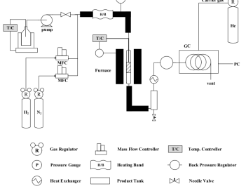 Hydroupgrading reaction system