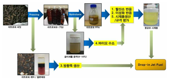 자트로파 비식용유지로부터 통합형 바이오항공유 생산 기술도