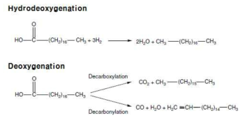 유지로부터 탈산소 반응 경로