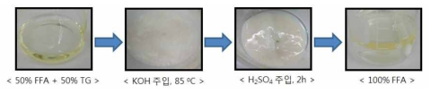 TG-FFA 전환 반응식 및 KIER-강산반응을 통한 전환사진