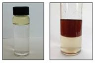 강산/모델화합물의 Hydrolysis 생성물과 자트로파의 Hydrolysis 생성물 사진