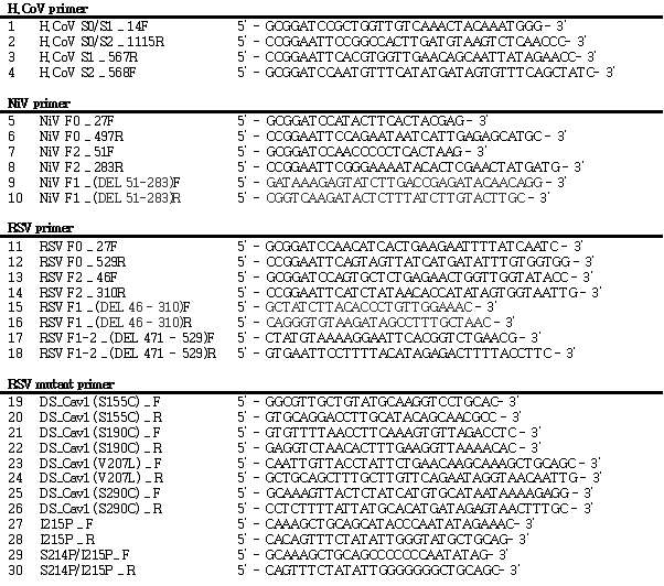 HCoV S, NiV F 및 RSV F 제작을 위해서 사용된 PCR primers