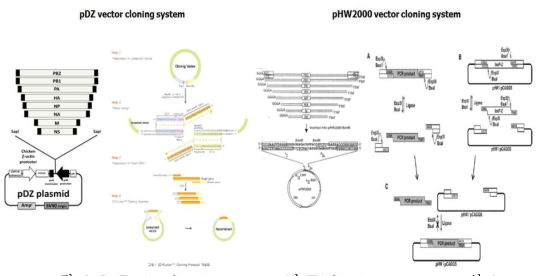 In-Fusion ligation system 및 T4 ligation system 모식도