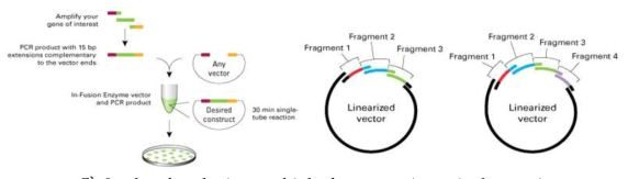 plan for cloning multiple fragments in a single reaction