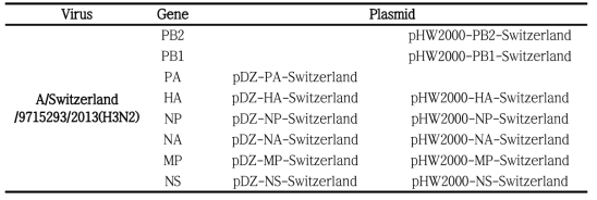 최종 확보한 A/Switzerland/9715293/2013(H3N2)의 역유전법 플라스미드