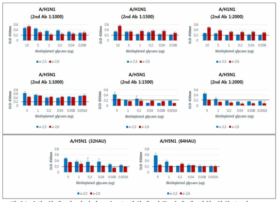 2차 항체 및 바이러스 농도 변화에 따른 수용체 결합 친화도 비교
