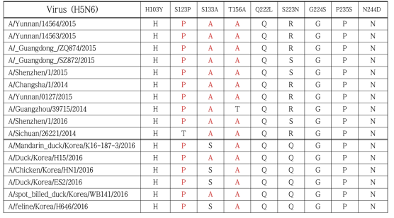 국내 인플루엔자 바이러스 H5N6 및 중국 인체 분리주의 수용체 관련 주요 아미노산 변이 비교