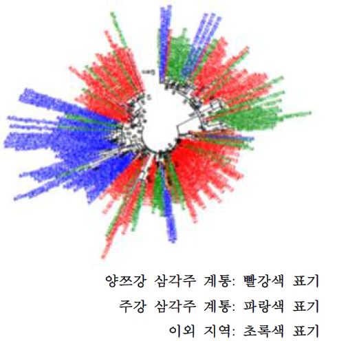 조류인플루엔자 바이러스 H7N9 인체분리주 계통수