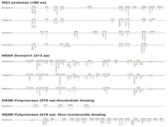 NS3 protease inhibitors, NS5A inhibitors, NS5B polymerse inhibitors와 관련된 내성관련 변이