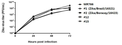 Vero 세포에서 지카바이러스 5종 감염에 따른 growth curve