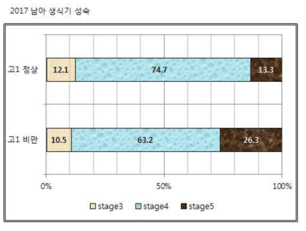 남자의 생식기 성숙 단계