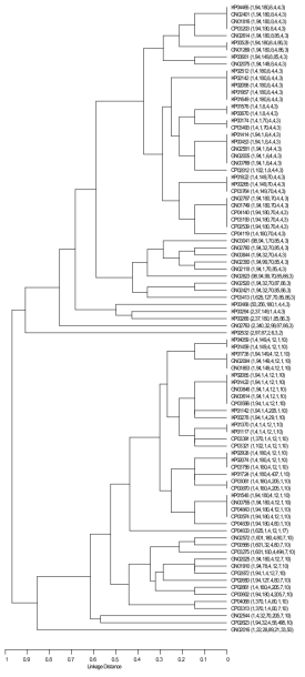 MLST 분석을 통한 혈액 유래 MRSA의 Phylogenetic tree 분석