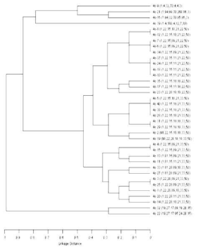 MLST 분석을 통한 SSSS 환자 유래 황색포도상알균의 Phylogenetic tree 분석