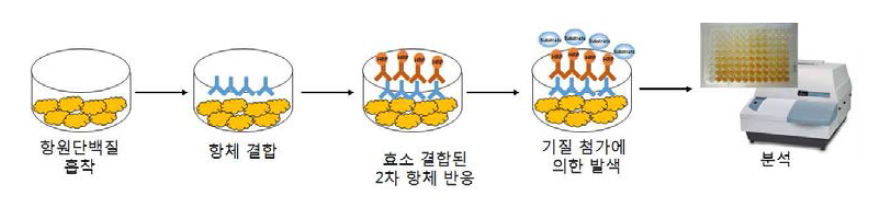 기법을 이용한 항원 특이 단클론 항체 스크리닝 모식도