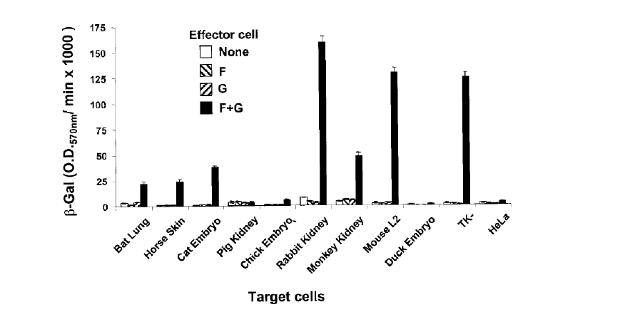 Specific tropism에 따른 슈도바이러스-cell fusion 시험의 예