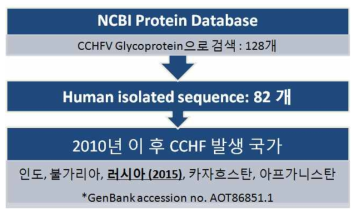 CCHV strain 선정