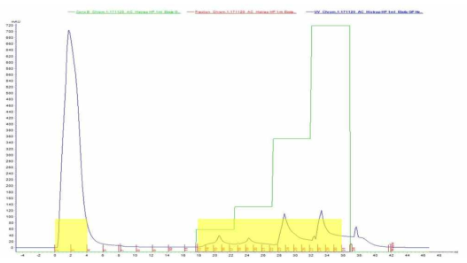 Fast protein liquid chromatography (FPLC)를 통한 Ebola GP 단백질의 정제.