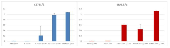 Dual vaccination이 완료된 C57BL/6 및 BALB/c 마우스의 IgG 항체가 1차 검정(ELISA)