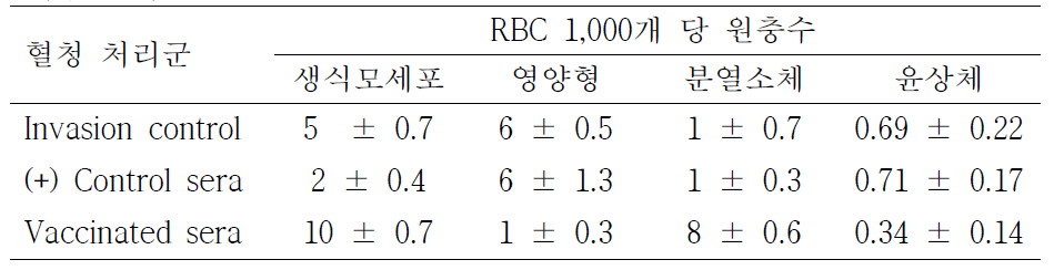 삼일열원충의 적혈구 침범에 대한 백신주 접종 마우스 혈청의 억 제능 평가