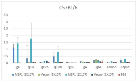 1차 및 2차 접종이 완료된 C57BL/6 마우스 혈청의 Ig subtype에 대 한 반응성(ELISA)