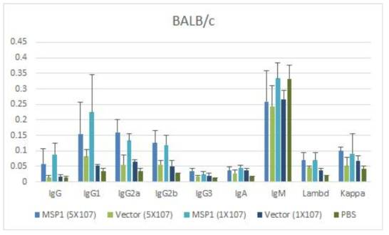 1차 및 2차 접종이 완료된 BALB/c 마우스 혈청의 Ig subtype에 대 한 반응성(ELISA)