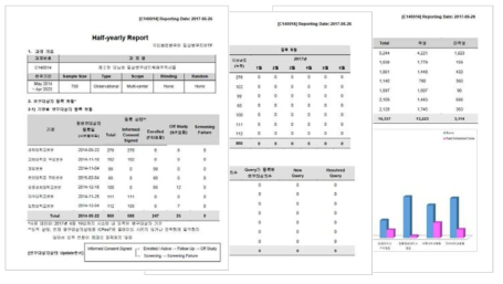 ’17년도 KNDP(제2형당뇨병) 상반기 보고서 캡쳐 화면