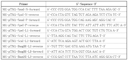 N, P, L 유전자를 확보하기 위한 pTM vector용 프라이머