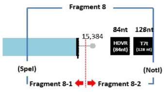 Fragment 8 합성의 모식도