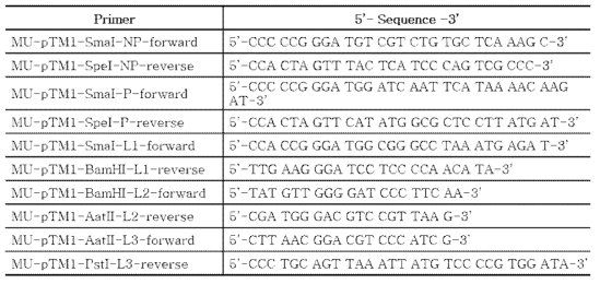 pTM vector 에 삽입하기 위한 NP, P, 그리고 L 유전자 합성용 프라이머 제작