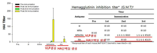 인플루엔자 VLP 생성 DNA 백신 면역에 의한 HAI항체가 증강 효과