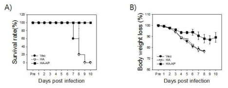 Alum에 의한 H5N1 HA DNA 백신의 H1N1 바이러스에 대한 교차 방어 면역과 바이러스 증식 억제