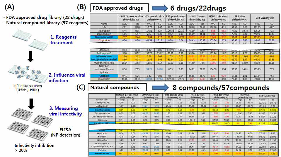 H5N1 IS, H5N1 VN, H1N1 PR8 바이러스를 이용한 치료제 후보물질 선별 결과
