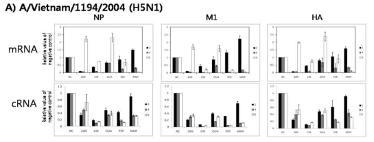 치료제 후보물질에 의한 인플루엔자 바이러스 감염 후, 세포 내 viral RNA 발현억제