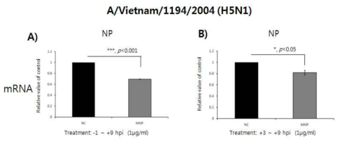 A/Vietnam/1194/2004의 세포 감염 후, mycophenolic mofetil의 시간 대 별 처리에 따른 감염 세포내 NP의 mRNA 발현 양 확인