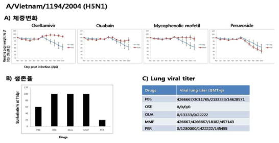 조류인플루엔자 감염 실험동물 모델에서 치료제 후보물질 3종의 인플루엔자바이러스 감염 억제 및 치료효과