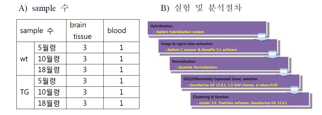 sample 수와 실험절차