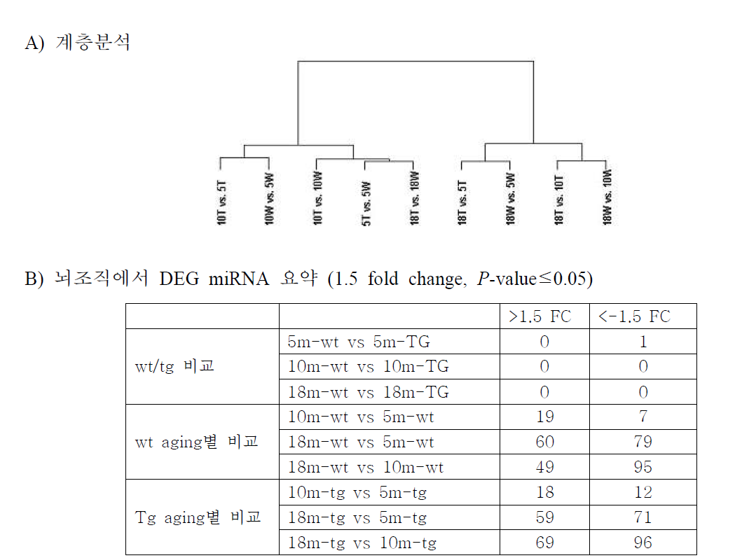 뇌조직에서 miRNA변화 비교분석