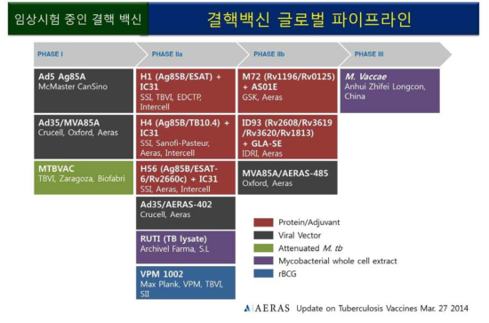 현재 임상시험 중에 있는 결핵 백신 평가단계와 종류