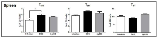 결핵균 감염 후 KVAC-Ag85B에 의한 비장의 T 세포 subset 변화분석