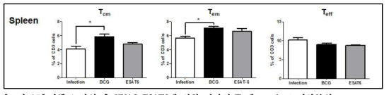 결핵균 감염 후 KVAC-ESAT6에 의한 비장의 T 세포 subset 변화분석