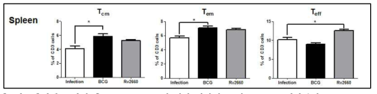 결핵균 감염 후 KVAC-Rv2660에 의한 비장의 T 세포 subset 변화분석